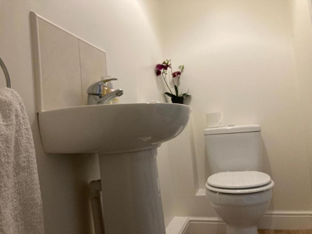 Cosy Home Near Hospital Карлайл Екстериор снимка
